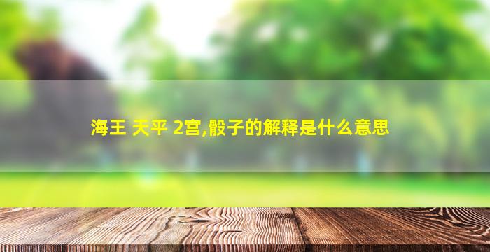 海王 天平 2宫,骰子的解释是什么意思